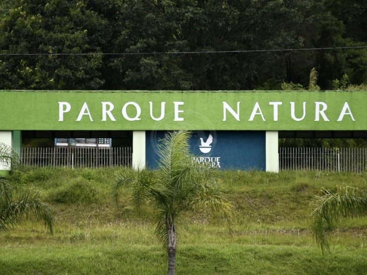 Piden a FGR y CNB rastrear panteón clandestino en Estancia Garnica y Parque Natura