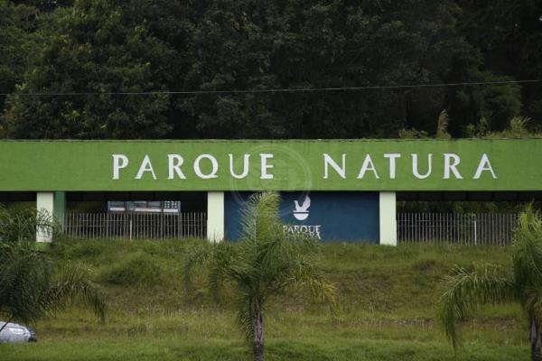 Dan 'manita de gato' al Parque Natura de Xalapa