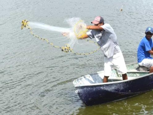 Se paraliza el 92% de embarcaciones pesqueras en Tuxpan