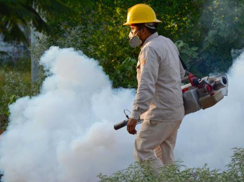 Combate Veracruz dengue con campaña de fumigación; 50 colonias serán fumigadas