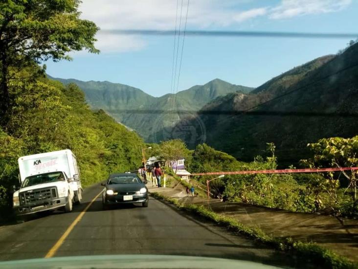 Vuelca en Tenejapan tráiler con plantas del programa ‘Sembrando Vida’