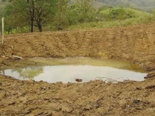 En Moloacán, crean represas para evitar pérdidas a sector ganadero por sequía