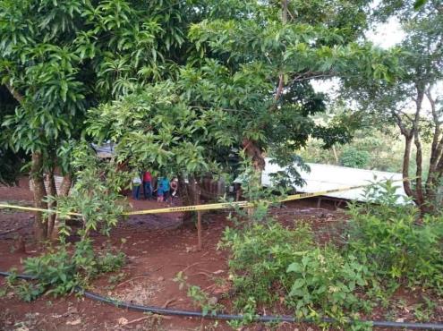 Campesino se cuelga de un árbol de mango en Soteapan