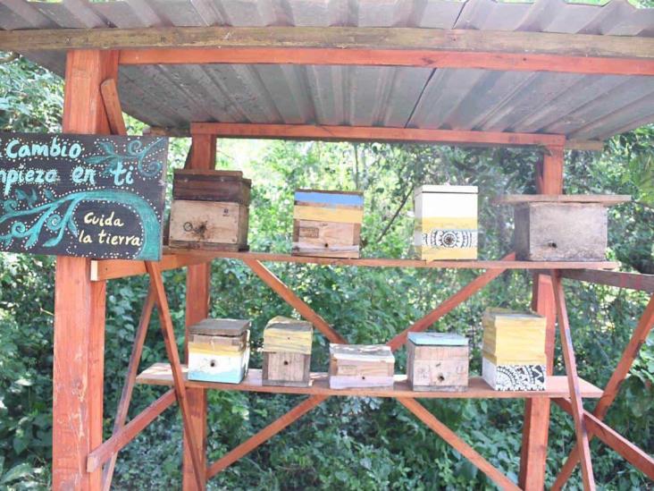 ‘Apiyauya’, un santuario a la abeja en Veracruz