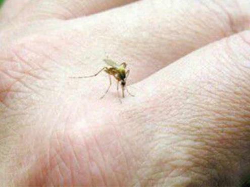 Veracruz, segundo lugar en casos de dengue a nivel nacional