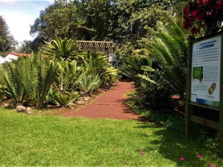 Celebra Inecol 45 años del jardín botánico de Xalapa