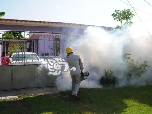 Continuará fumigación contra dengue en Coatzacoalcos