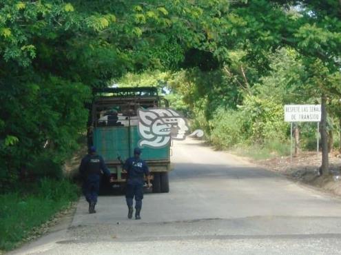 Instalan retén policíaco para frenar abigeato en Soteapan