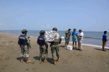 Profepa libera a 18 tortugas Lora en playas de Coatzacoalcos


