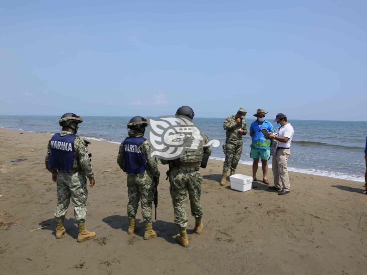 Profepa libera a 18 tortugas Lora en playas de Coatzacoalcos