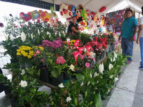 Florerías de Tuxpan en crisis por pandemia, señalan