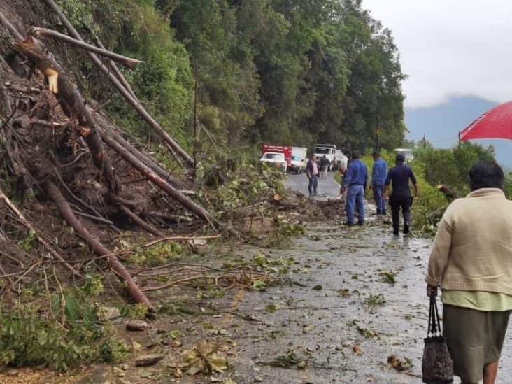 Deslizamiento provoca cierre de carretera federal Orizaba-Zongolica