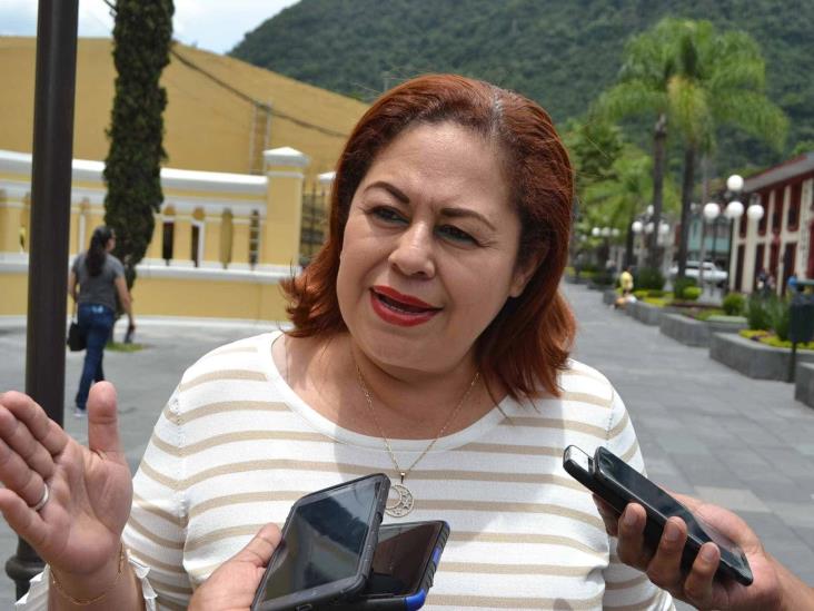Pandemia afecta trabajo legislativo en Veracruz