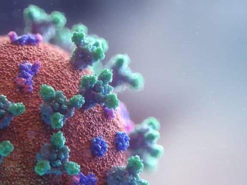 La humedad sería clave para minimizar contagios del coronavirus en el aire