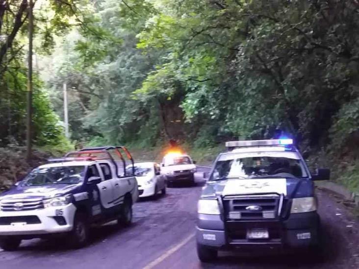 Fuertes Lluvias Provocan Deslave En Carretera Federal A Xalapa 5203