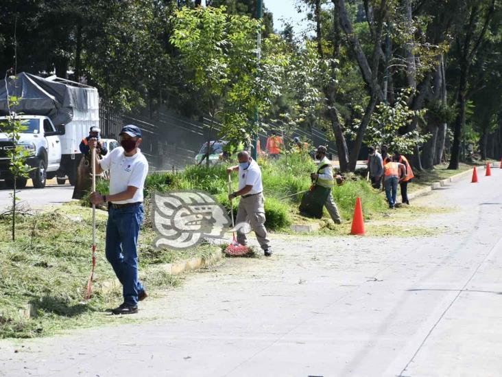 Avanza mantenimiento de parques y áreas verdes de Xalapa