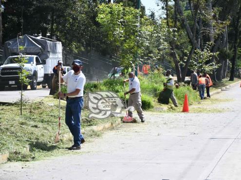 Alistan programa de empleo temporal en Xalapa