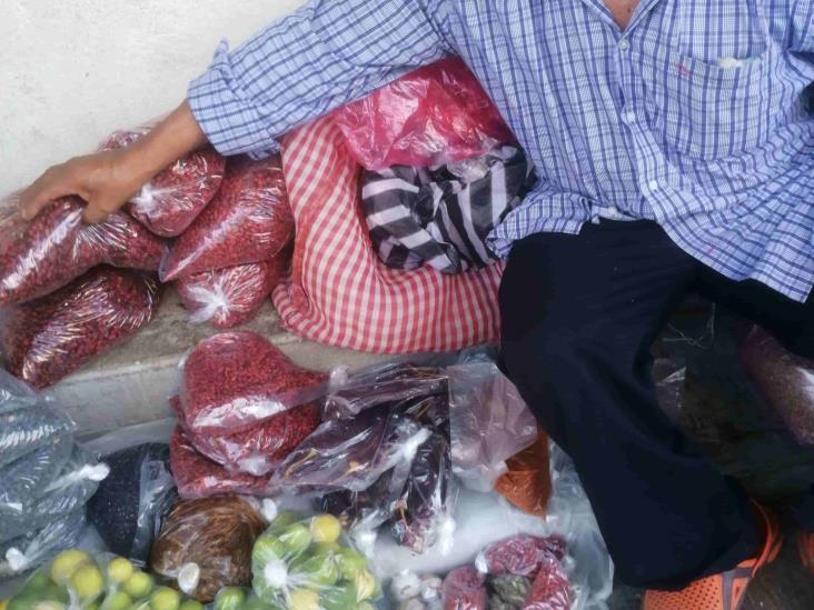Por bajas ventas, productores de chile piquín en Tuxpan malbaratan su producto
