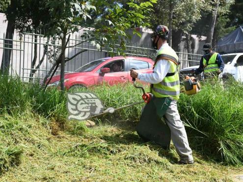 Interesa a IP de Xalapa apoyar en limpieza de áreas verdes