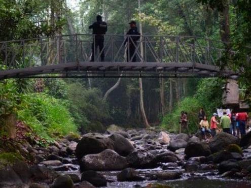 Desarrollo turístico amenaza con depredar Bosque Mesófilo de Veracruz
