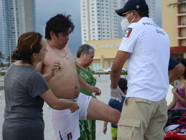 Medusa le pica a turista en playas de  Veracruz