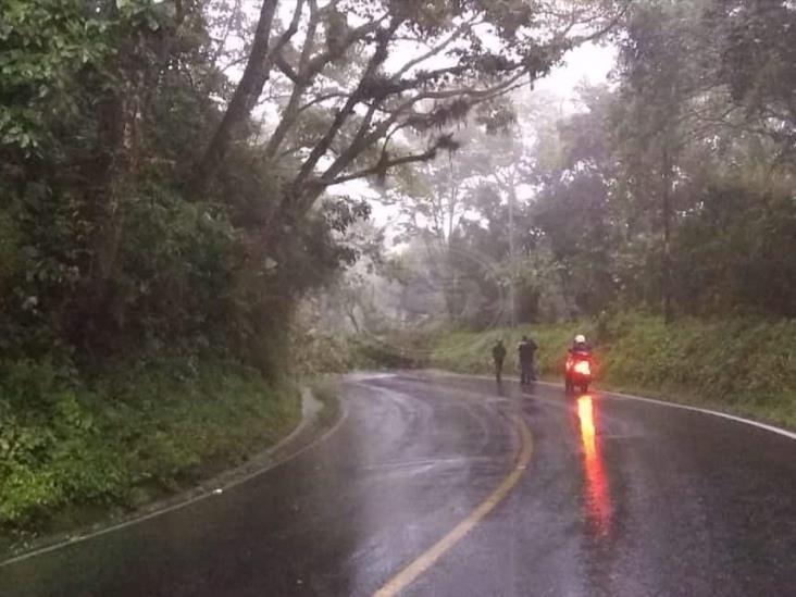 Deslave provoca cierre de la carretera Fortín-Huatusco