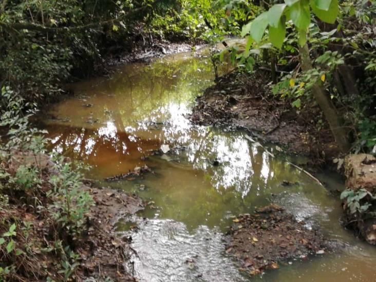 Contaminación del arroyo afecta a habitantes de Ixhuatlán del Sureste