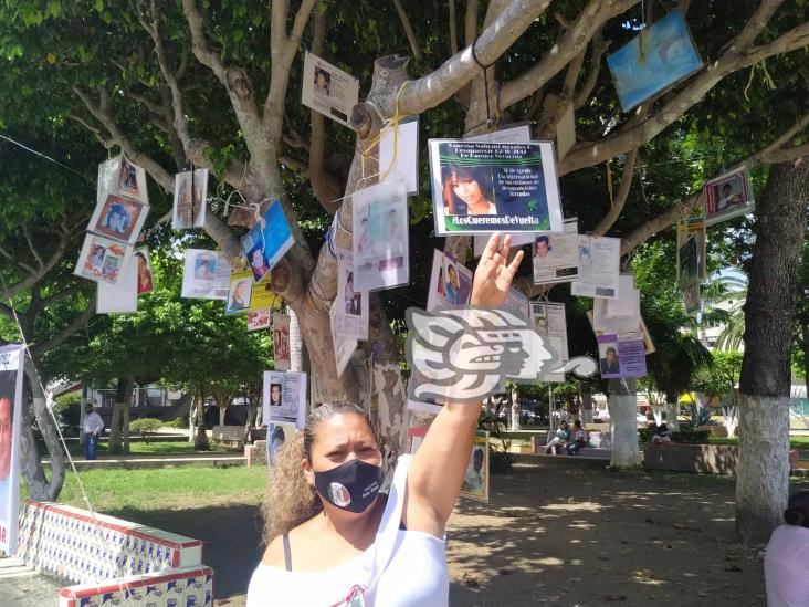 Tuxpan y Poza Rica, azotados por desapariciones