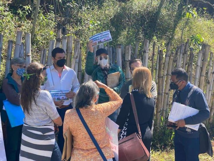 Mano negra del Poder Judicial favorece devastación de bosque en Veracruz