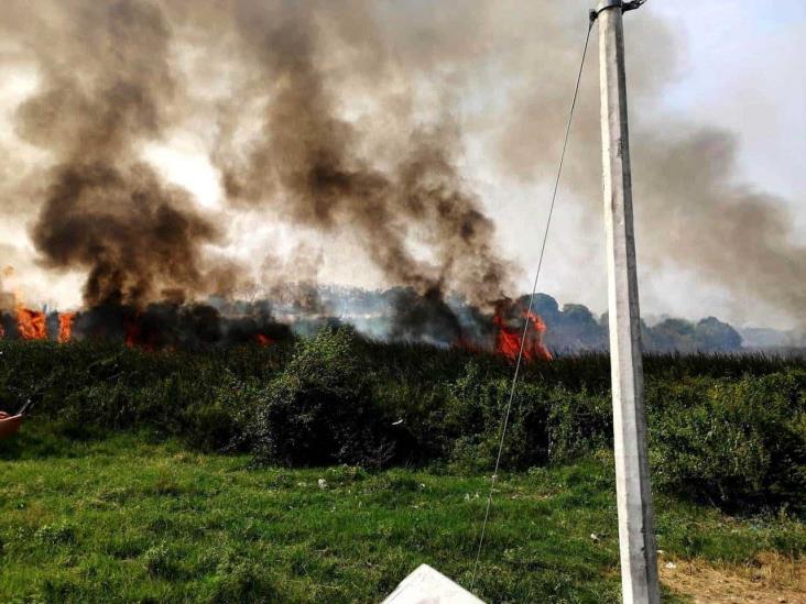 Clima cálido y seco podría provocar incendios forestales en Veracruz