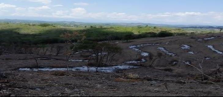 Tras un año, revisan daños causados por invasores en zona de El Tajín