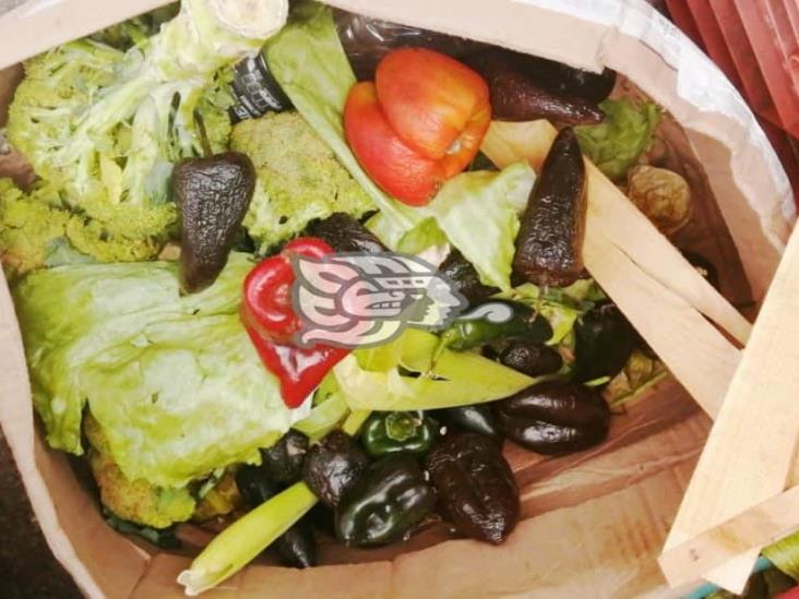 En el Día Mundial de la Alimentación, llaman a no desperdiciar la comida