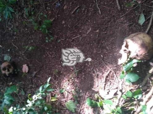 Encuentran dos cuerpos en descomposición en Santiago Tuxtla