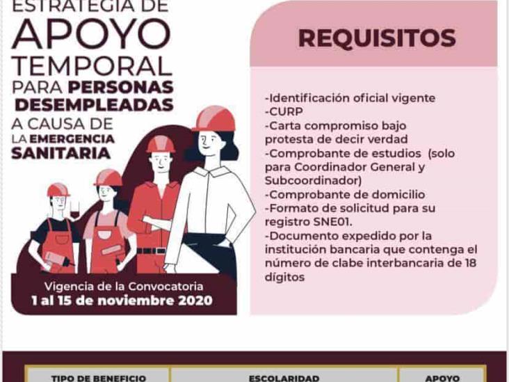 Emiten convocatoria para empleo temporal en Veracruz