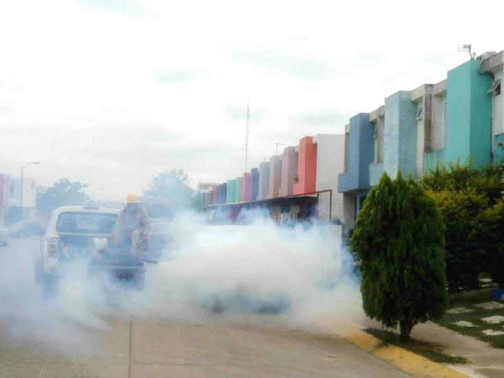 Dengue no da tregua en Tuxpan