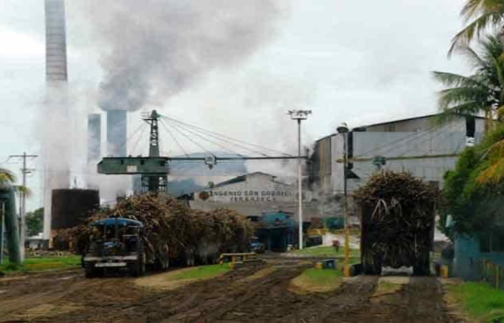 Veracruz batió récord en producción de azúcar