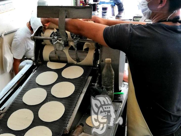 En Tuxpan, ven posible subir el precio de la tortilla