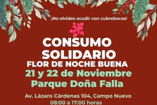 ¿Buscas flores de Nochebuena? Habrá en Xalapa este fin de semana