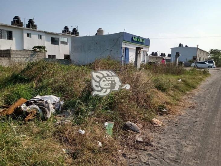 Lotes baldíos, focos de inseguridad en Veracruz 