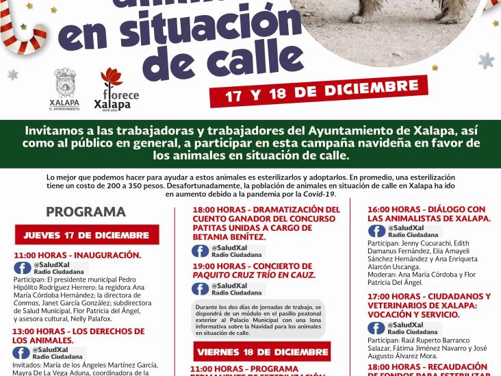 Donaciones altruistas en Xalapa parara esterilizar animales en situación de calle