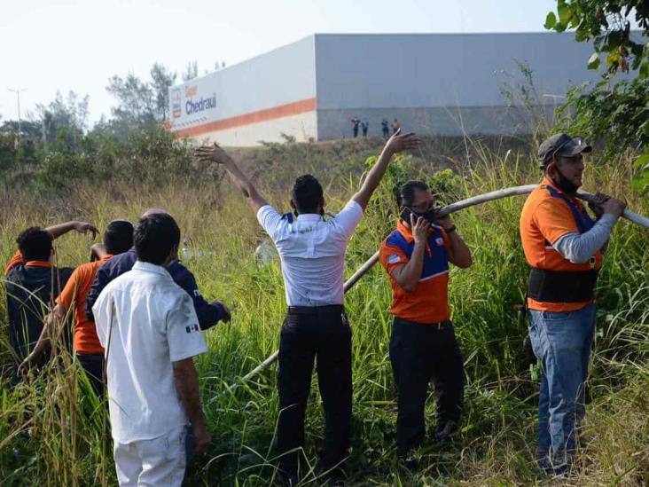 Se incendia pastizal en Veracruz; cerca de 30 voluntarios se unieron en apoyo