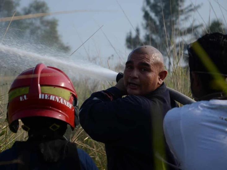Se incendia pastizal en Veracruz; cerca de 30 voluntarios se unieron en apoyo