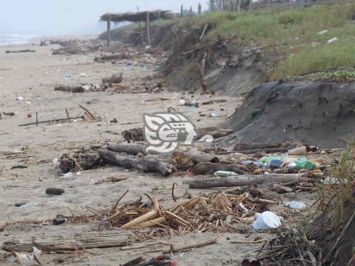 Playas de Agua Dulce quedaron cubiertas de basura y palotada