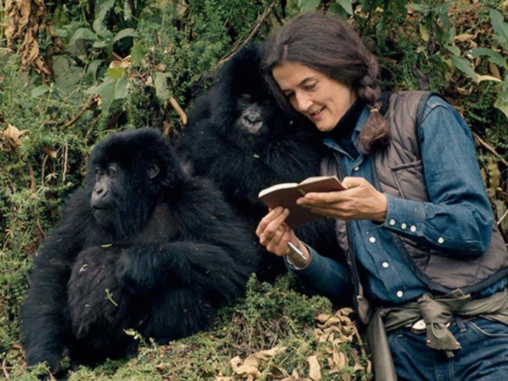Dian Fossey, gorilas en la niebla
