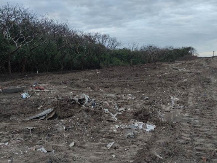 Ambientalistas denuncian ecocidio en Riviera Veracruzana