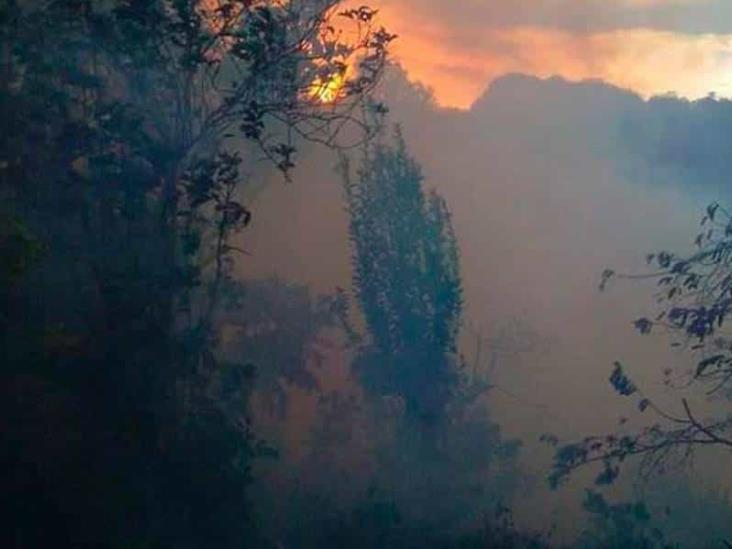 Logran controlar 60% de incendio en Tatatila; instalan refugio temporal