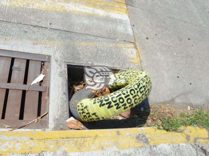 En aumento robo de tapas de registro en Veracruz