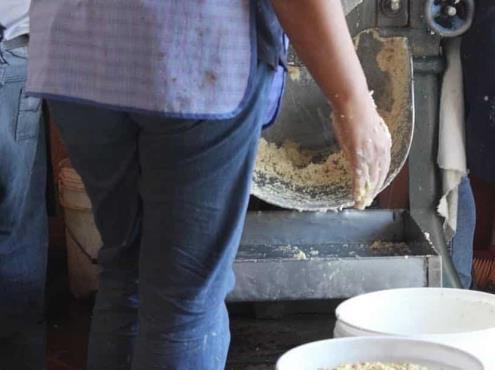 Sin alza, precio de tortilla y masa en Tuxpan