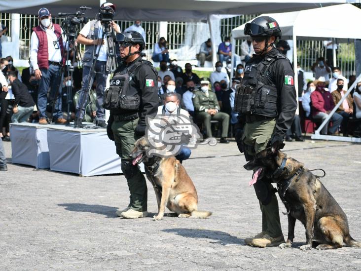 Arranca diplomado internacional K9 en Academia de Policía de Xalapa