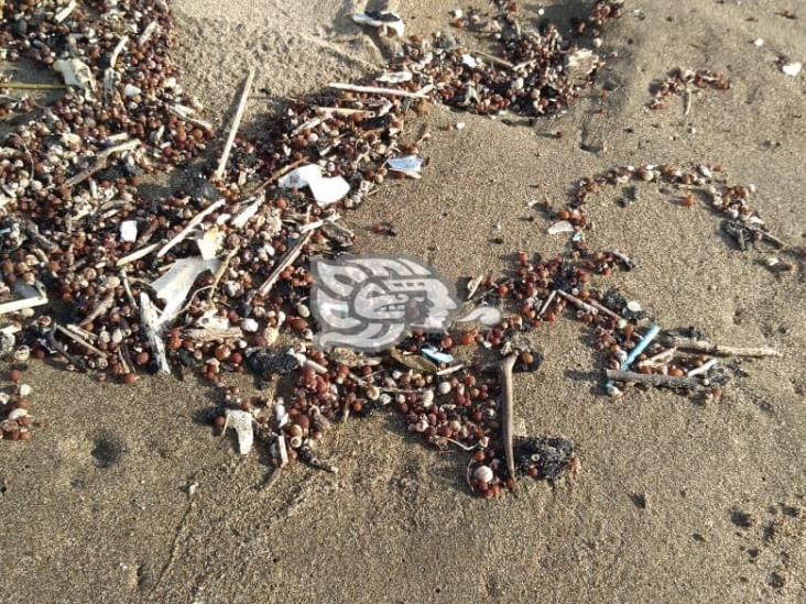 Encuentran pequeños restos de chapopote en la playa de Coatzacoalcos